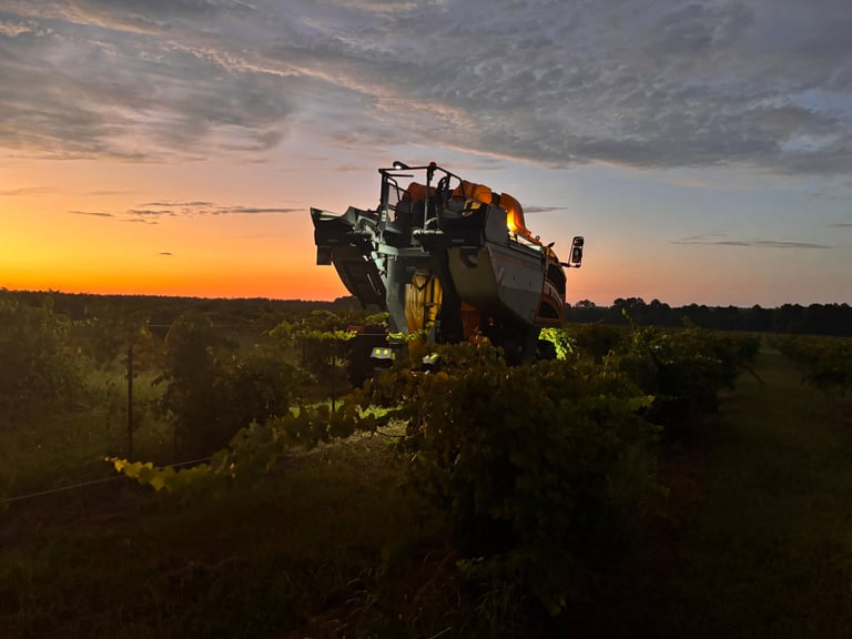 Agricultural sprayer vehicle working in crop field at sunset with orange sky